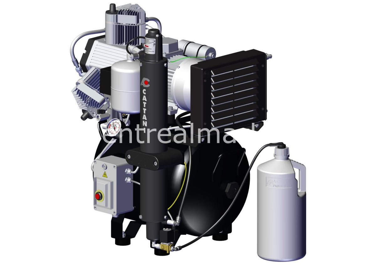 Cattani AC 200 Dryer Compressor — 2-Cylinder