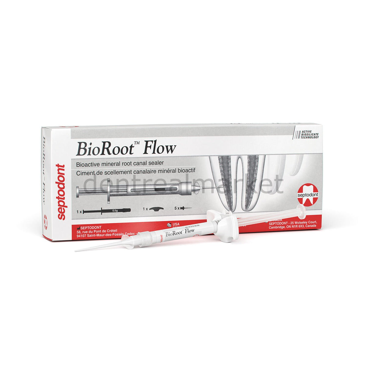 Septodont BioRoot Flow Bio-Ceramic Root Canal Sealer - 2 g