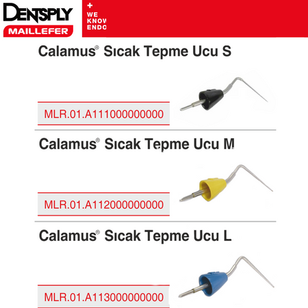 Dentsply-Sirona Calamus Dual Tips