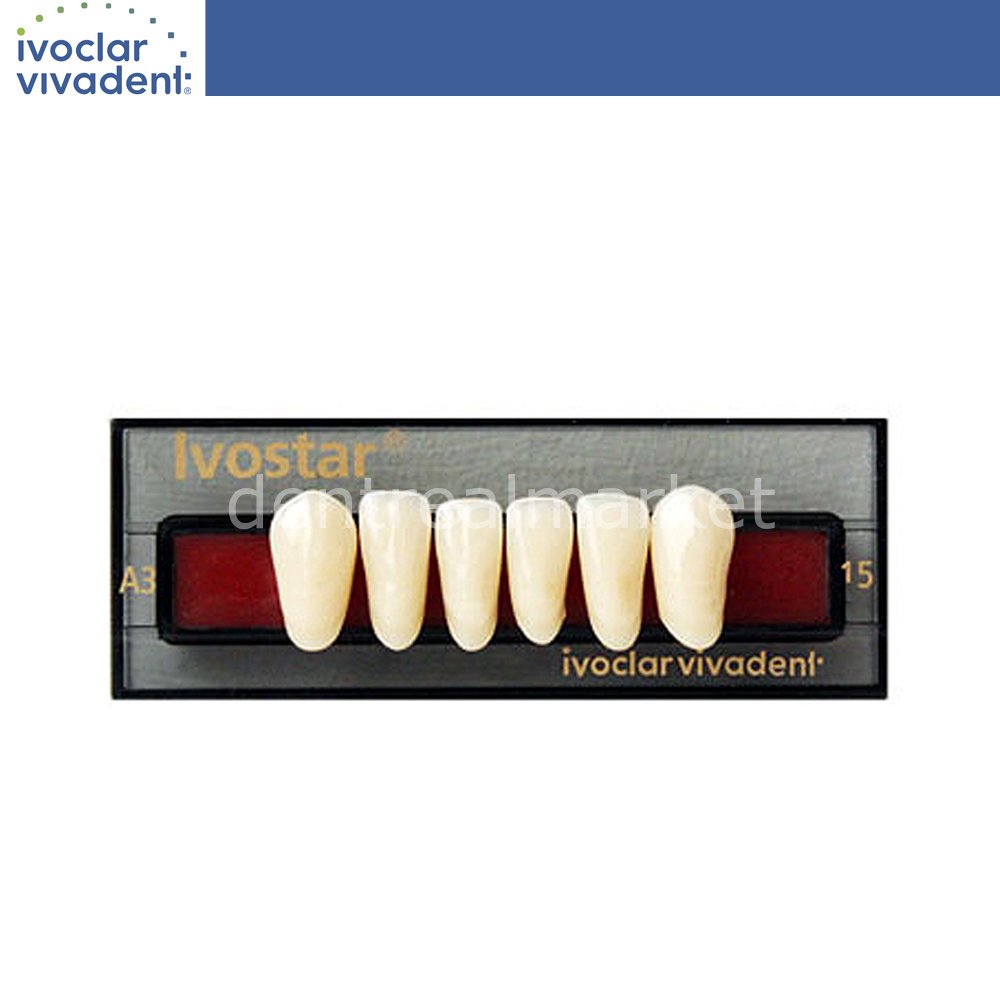 Ivoclar Vivadent Ivostar 3-Layer Acrylic Lower Anterior Teeth Set of 6