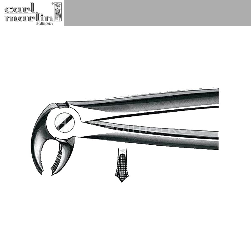 Carl Martin Forceps Lower Premolar — No. E13