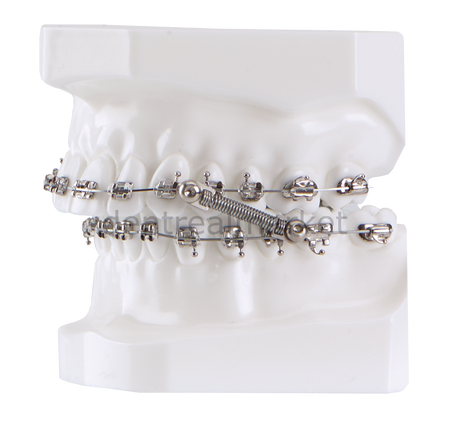 Dynaflex CS-2000 10 Patient Kit