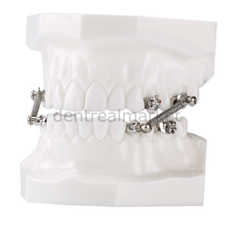 Dynaflex CS-2000 10 Patient Kit