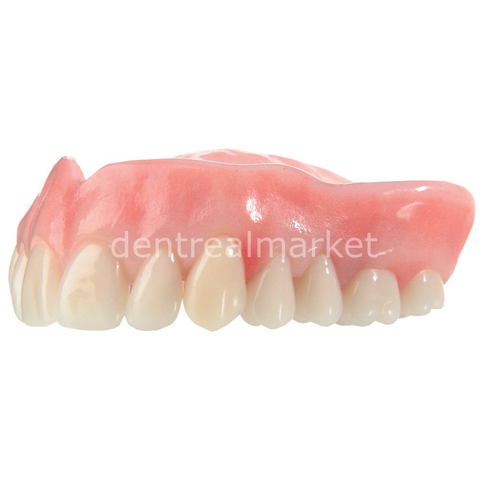Schottlander Enigmalife+ Nano-Hybrid Composite Denture Teeth — 28-Set