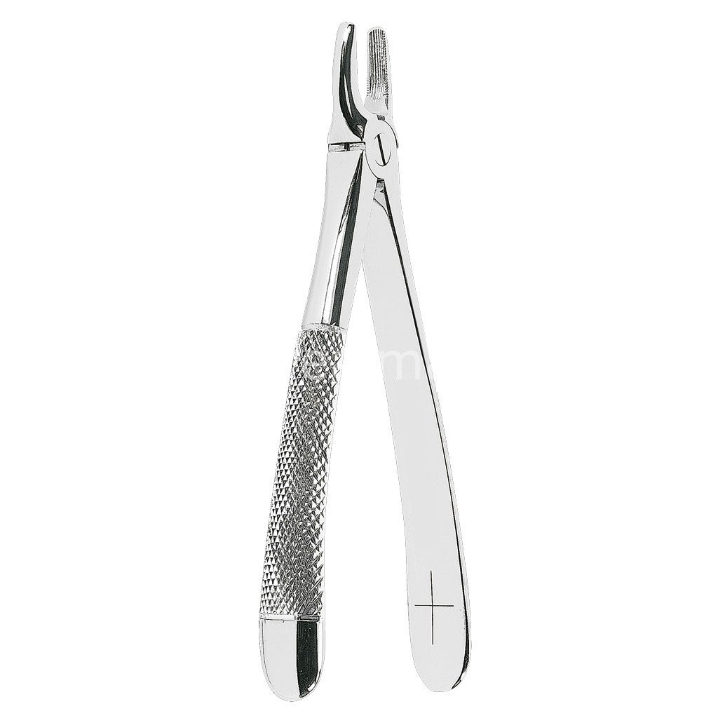 Braun Aesculap Anatomica Adult Forceps No. 2