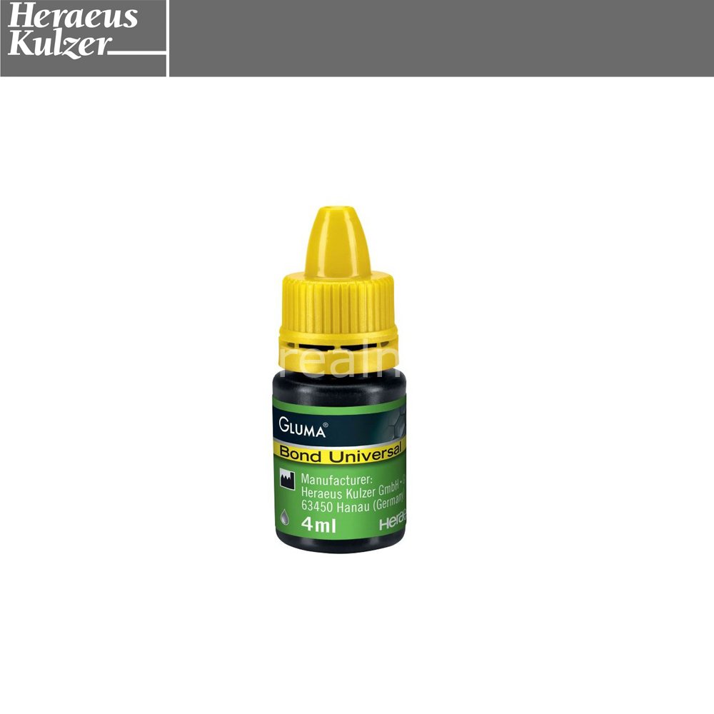 Gluma Üniversal Bond Dental Adhesive - 4 ml