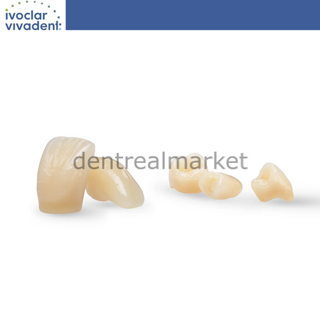 Ivoclar Vivadent SR Vivodent S PE - SR Orthosit S PE Denture Teeth Set of 28