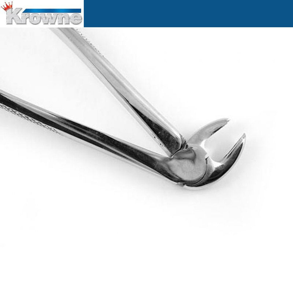 Krowne Extraction Forceps Lower Molars 22