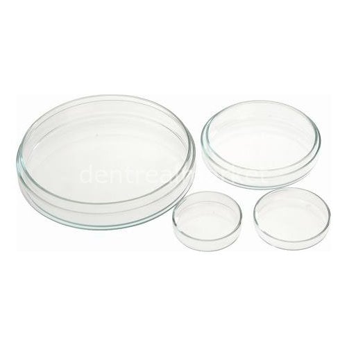 Ocean Covered Petri Dish
