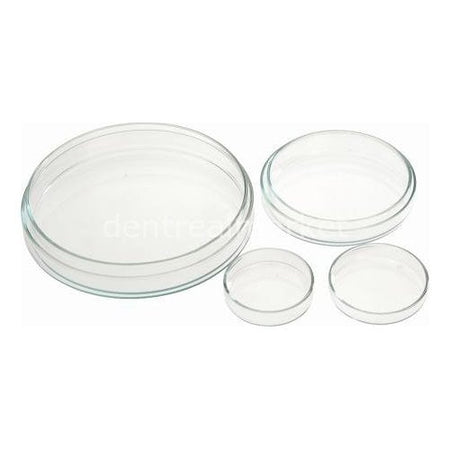 Ocean Covered Petri Dish