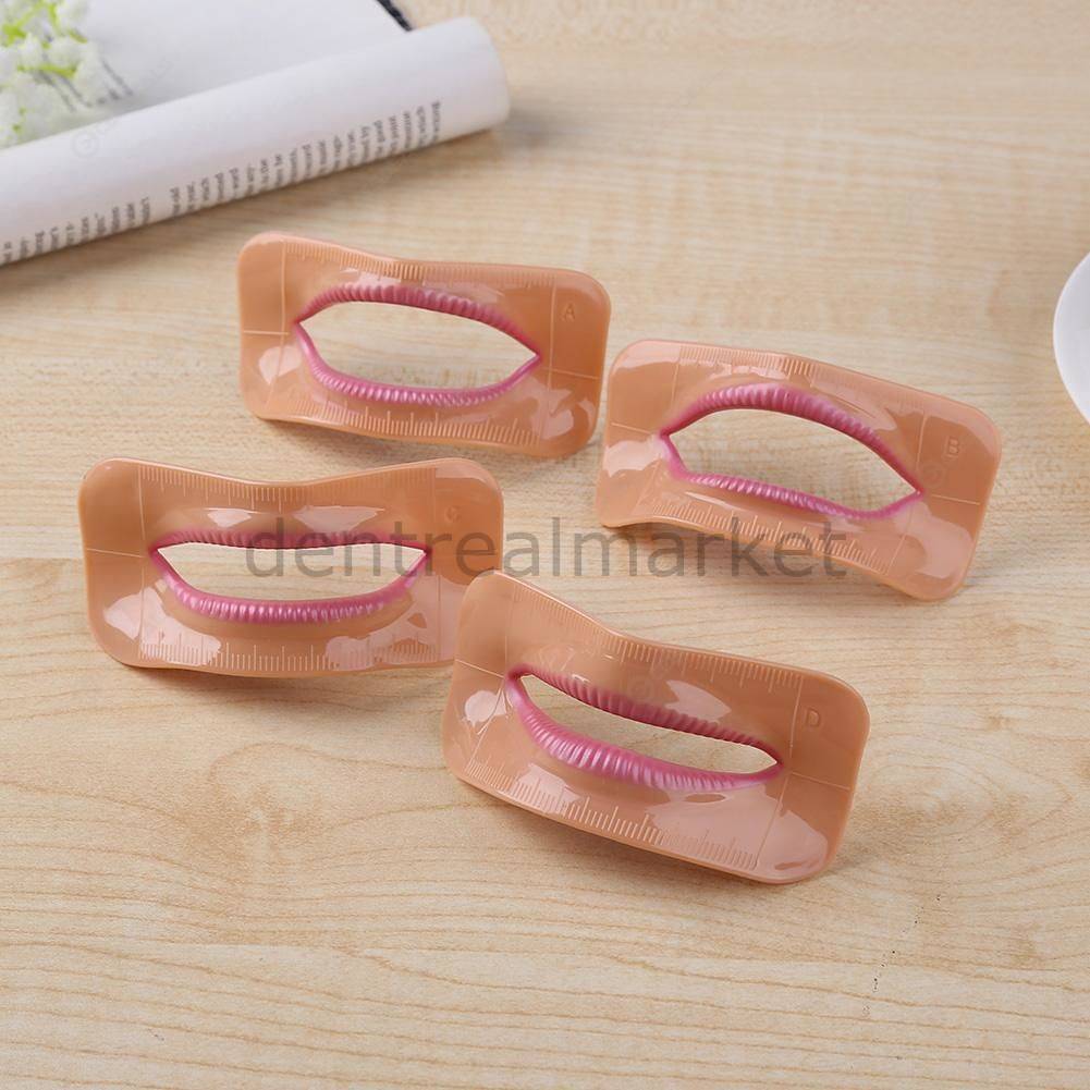 New Dent Lip Model Set — 3 pcs