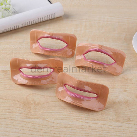 New Dent Lip Model Set — 3 pcs