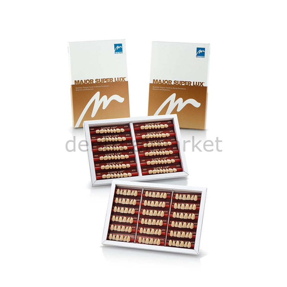 Major Super Lux Teeth Full Set of 28 - 3 Shades