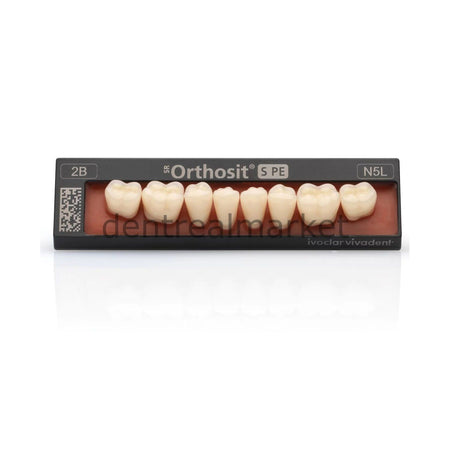 Ivoclar Vivadent SR Orthosit S PE Lower Posterior Teeth Set of 8