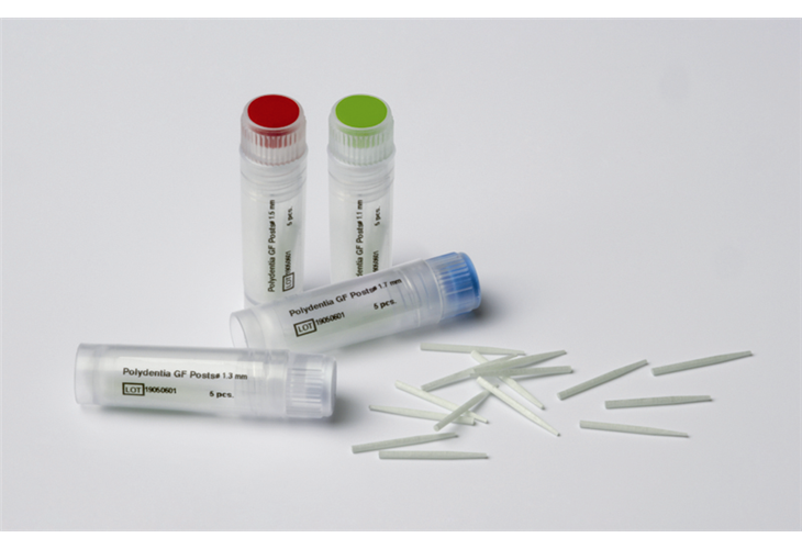 Polydentia GF Fiber Post Refill Pack of 10