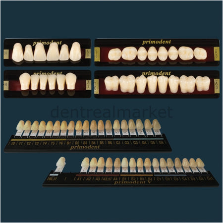 Polident Primodent Acrylic Denture Teeth Set 28 pcs — Triangular Form