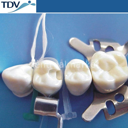 TDV Dental Transparent Matrix Band Refill 0.05 mm - Pack of 20