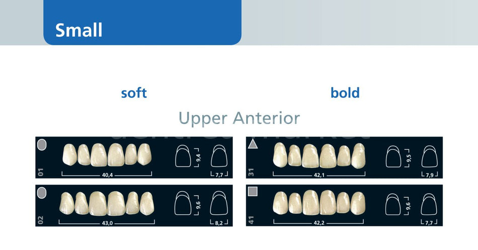 Ivoclar Vivadent Ivostar 3-Layer Acrylic Upper Anterior Teeth Set of 6