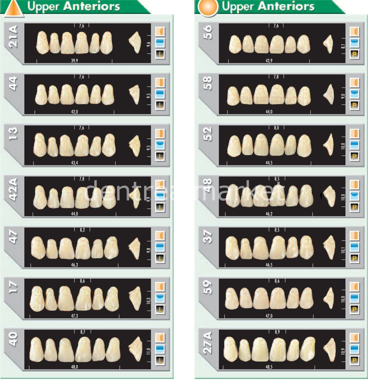 Major Plus Acrylic Teeth Full Set of 28