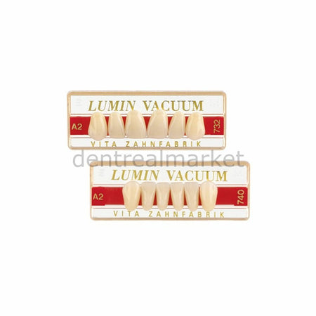 Vita Lumin Vacuum Porcelain Denture Teeth Set of 28