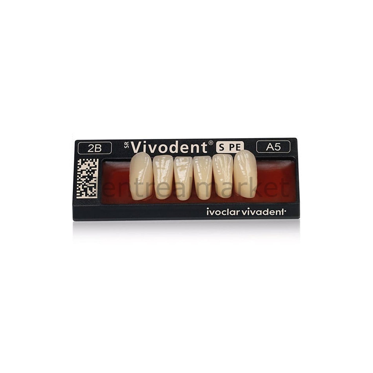 Ivoclar Vivadent SR Vivodent S PE IsoSit Composite Lower Anterior Teeth 6-pack