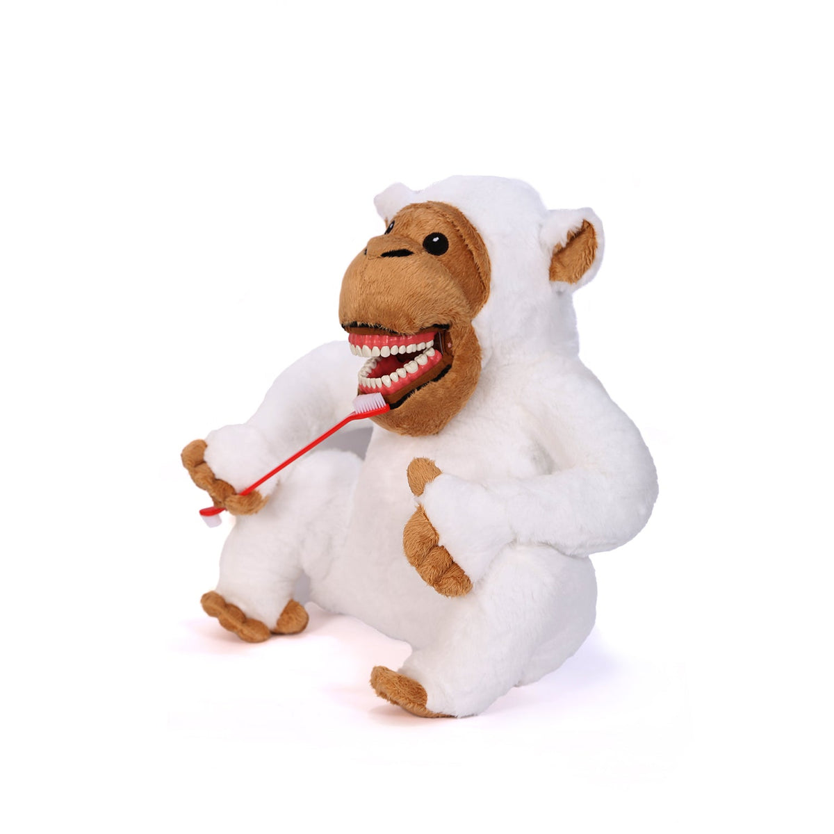 Monkey Razor Bush Sunray - White Monkey Tooth Brush Teaching Model – DentrealStore
