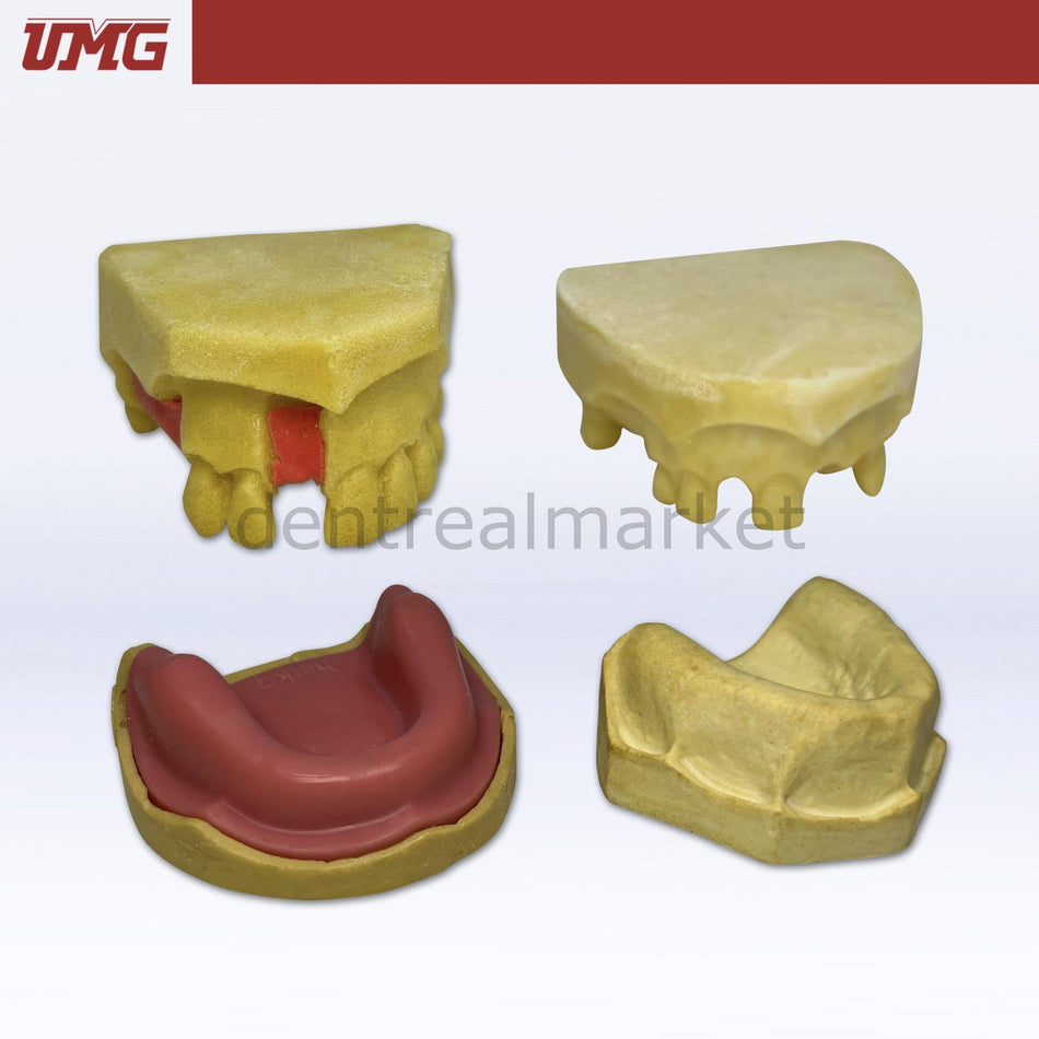 DentrealStore - Umg Dental Umg Model Implant Training Model - UM-H7